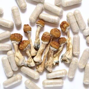 SHROOM CAPSULES